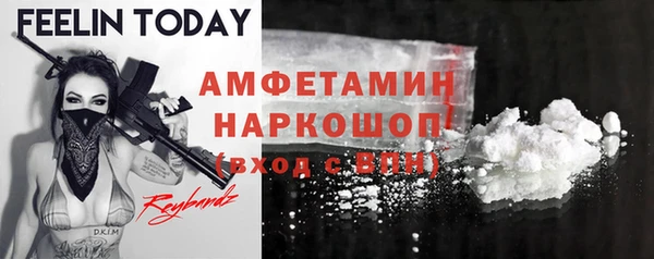 сатива Балахна