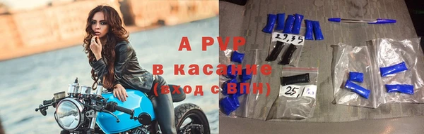 крисы Баксан