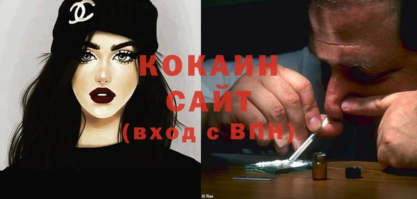 сатива Балахна