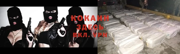 крисы Баксан