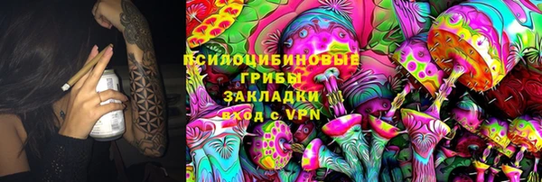 крисы Баксан