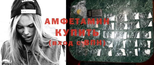 сатива Балахна