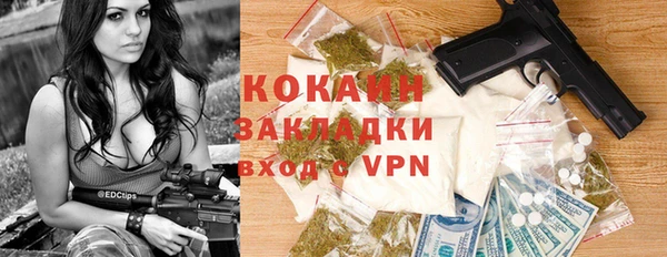 крисы Баксан