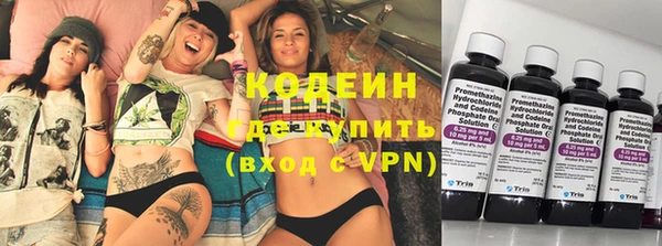 сатива Балахна