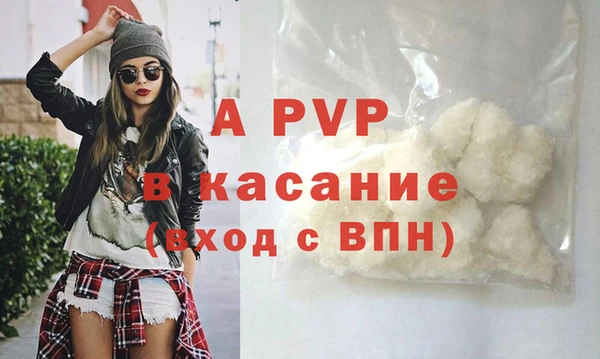 крисы Баксан
