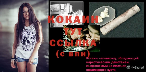 крисы Баксан