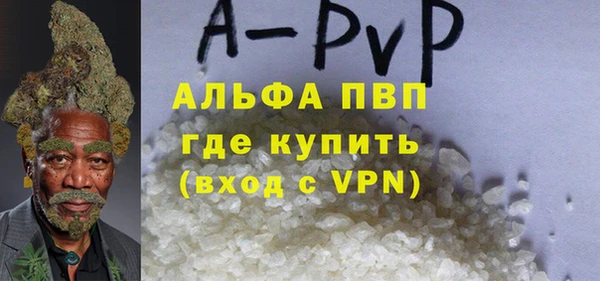 сатива Балахна