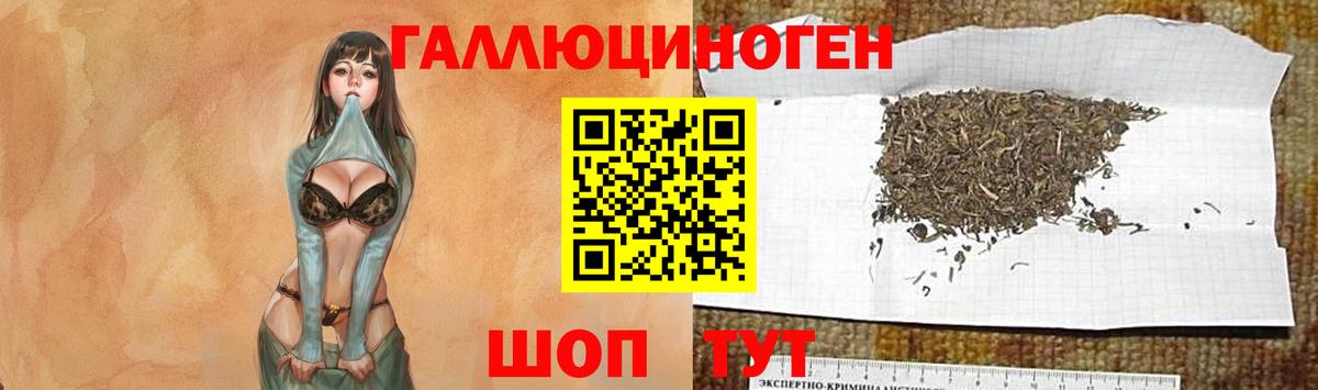 Псилоцибиновые грибы мухоморы Балахна